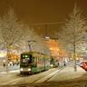 世界杯d组排名